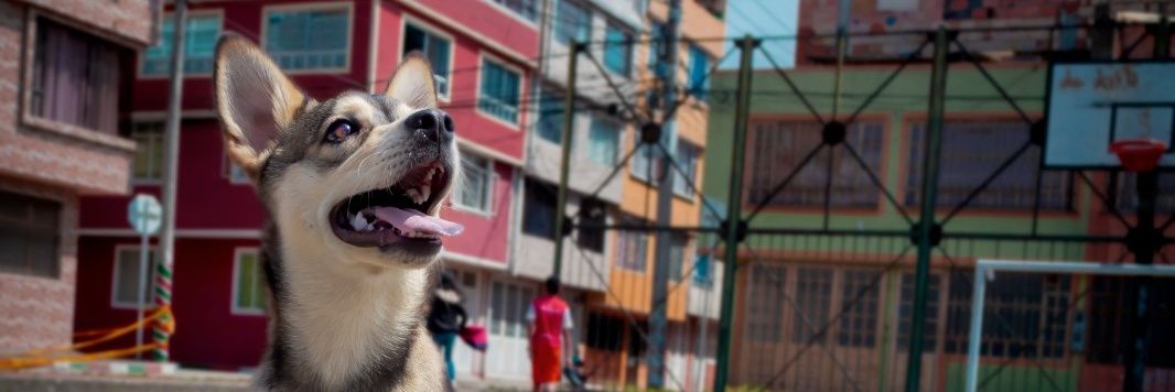 RubyLorenaMusic's profile banner image
