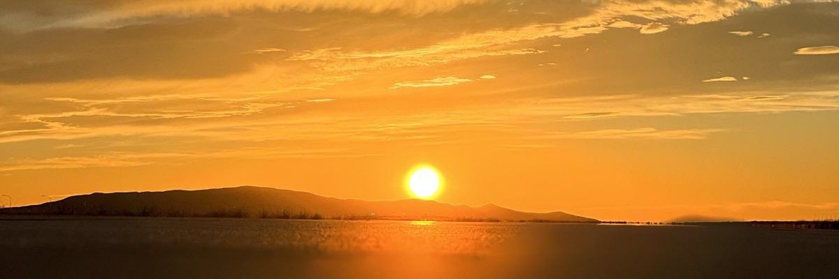 LawZify's profile banner image