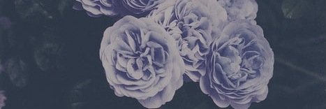 ClemenceLbd's profile banner image