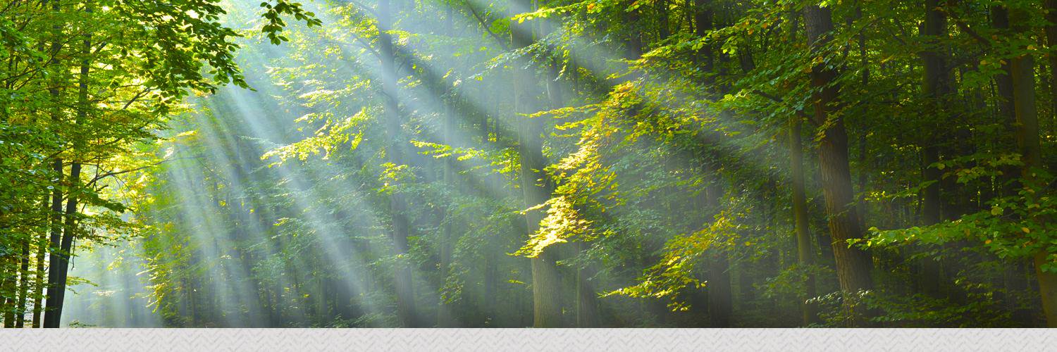 BirchRunFinance's profile banner image