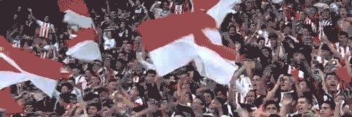 Pinadelcdg's profile banner image