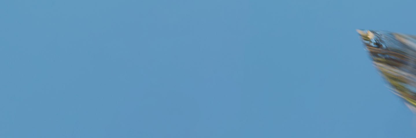 baynkofficial's profile banner image