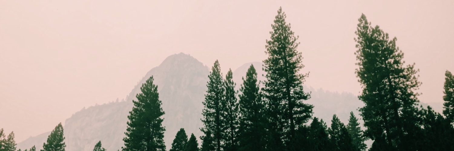 JordanFaveri's profile banner image