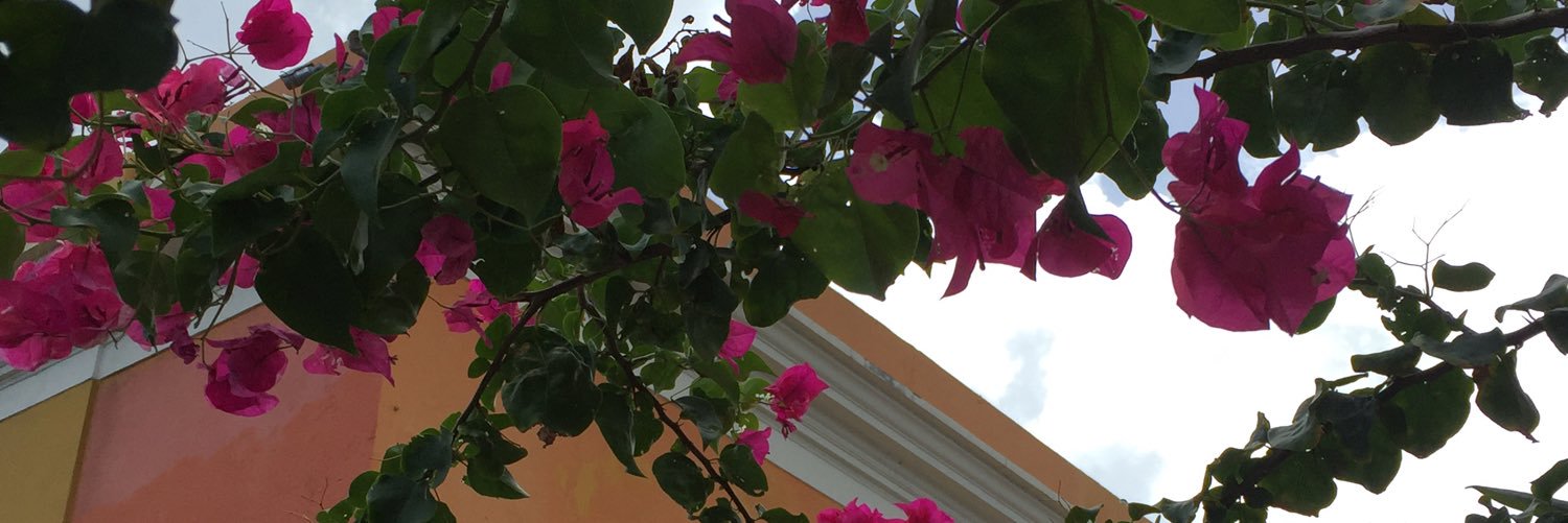 HowellAndraya's profile banner image