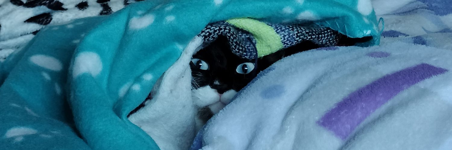 Vidal Musk 100% Real No Fake banner