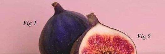 Aimee Ouellette (she/her) banner