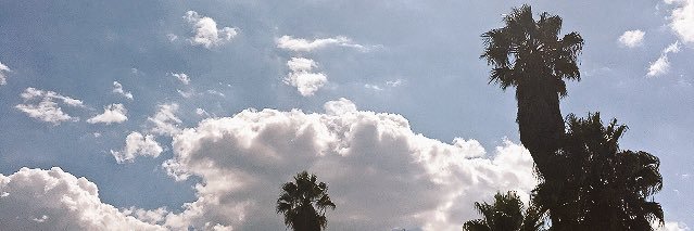 muz_nash's profile banner image