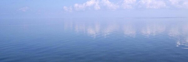 MTMontoro Profile Banner