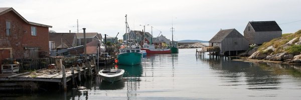 NSisAmazing Profile Banner