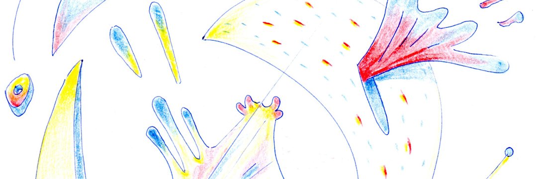 maxpeterse's profile banner image