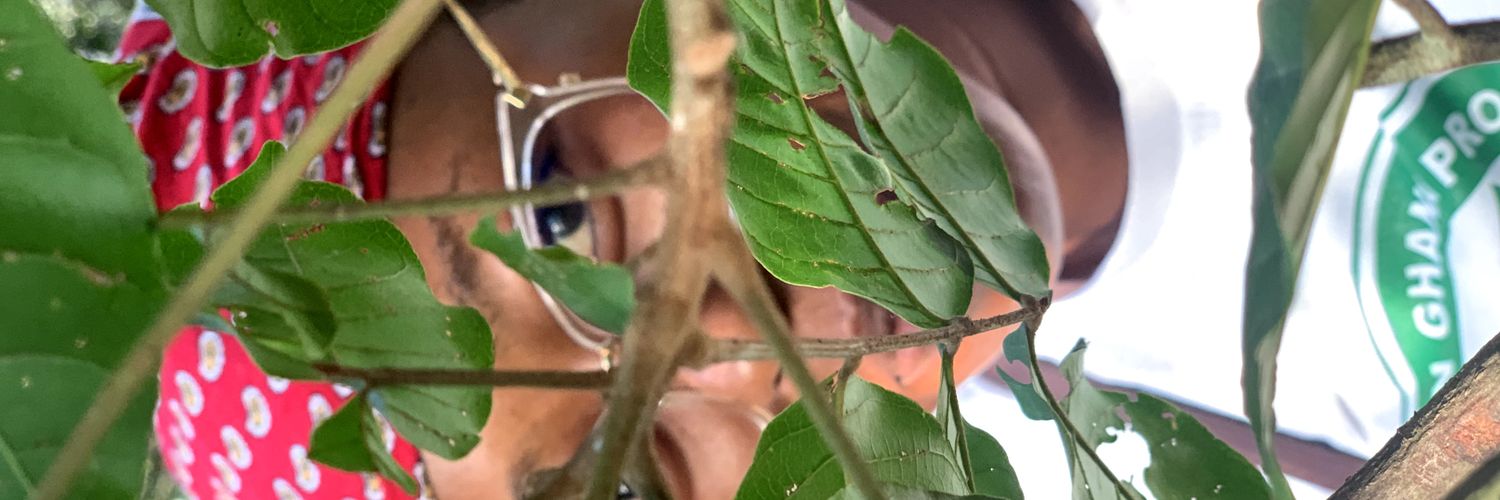 glorious_ella's profile banner image