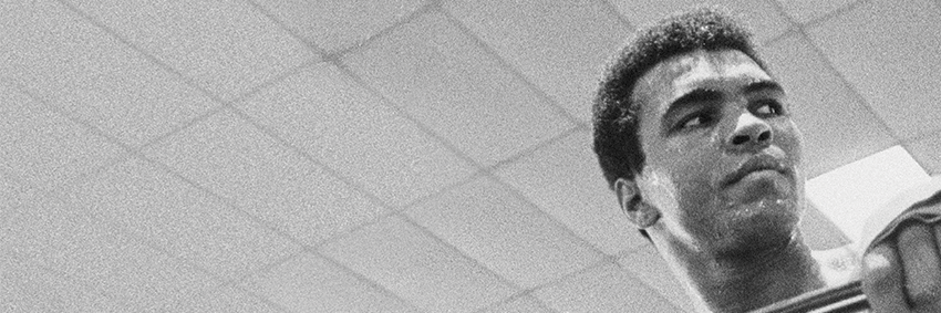 aliattheo2's profile banner image