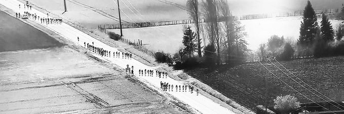 Yannick Talabardon banner