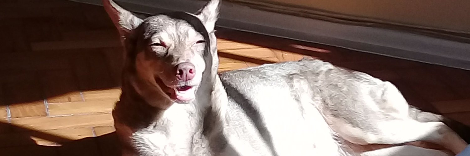 ttavareesz's profile banner image