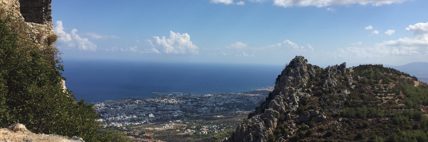 Laura Scarano banner