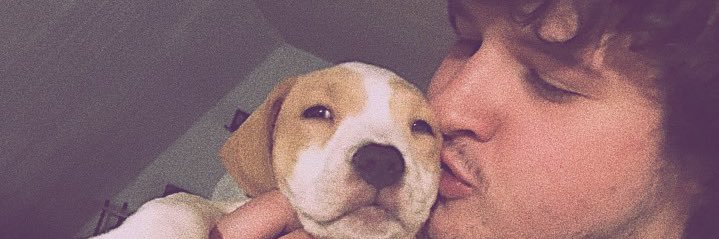 heidiwogann's profile banner image