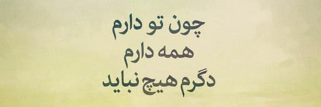 Setayesh Sadeghi banner