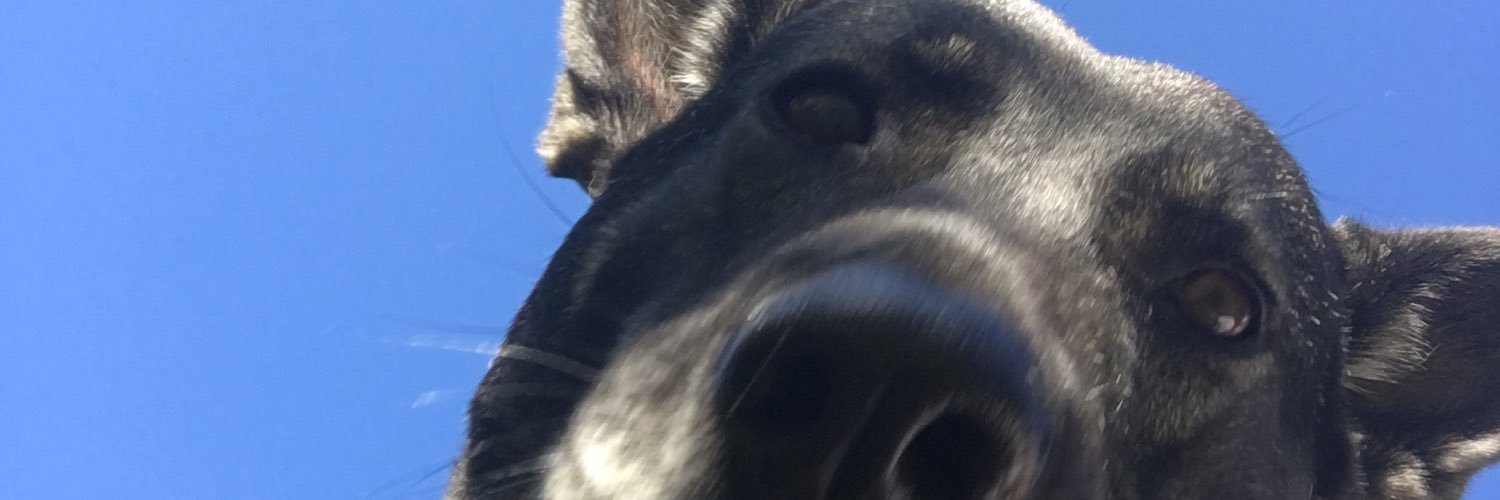 mimmiethelander's profile banner image