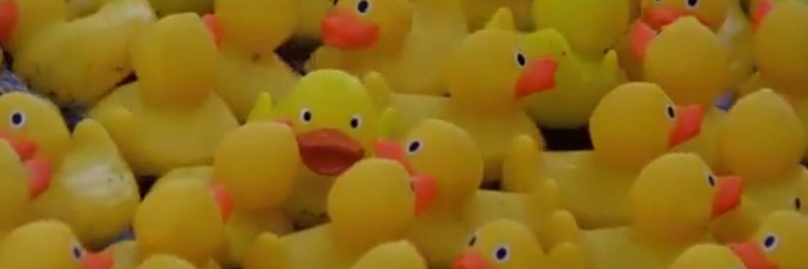 dcduckrace's profile banner image