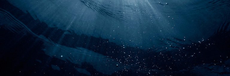 D_A_MS's profile banner image