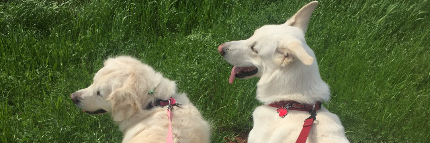 TheRealSydneyD's profile banner image