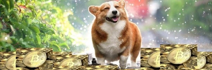 T_Boynton477's profile banner image