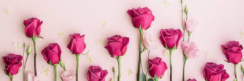 Jessica Sills banner