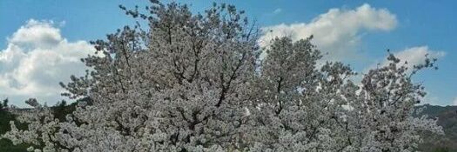 hatfsamaswe's profile banner image