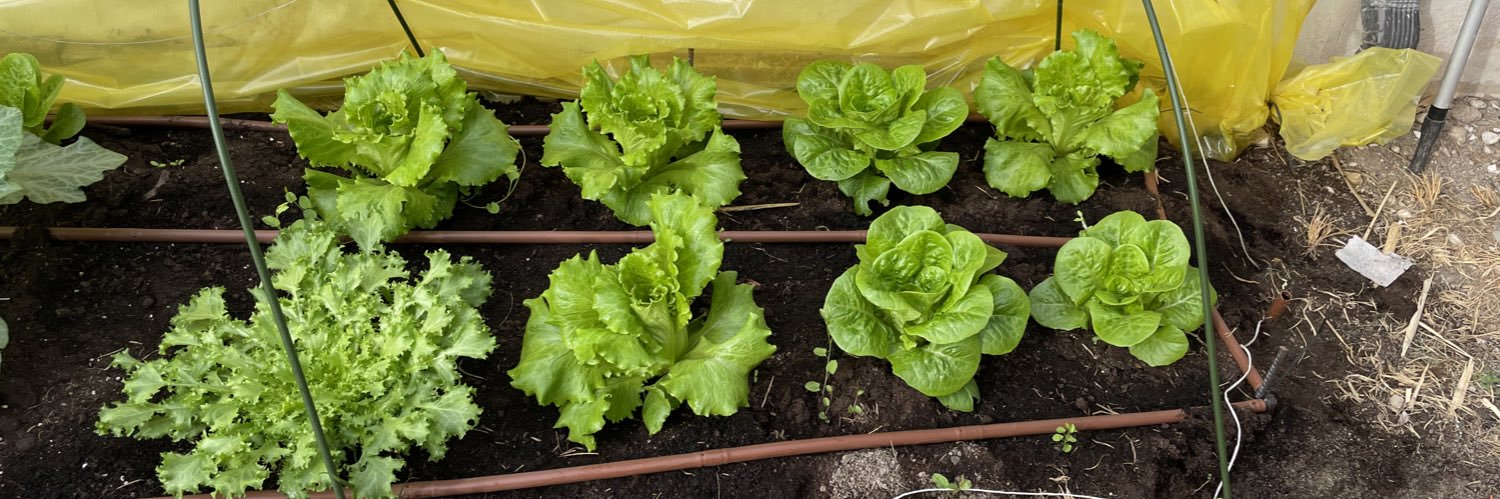 Fernando Peñas banner