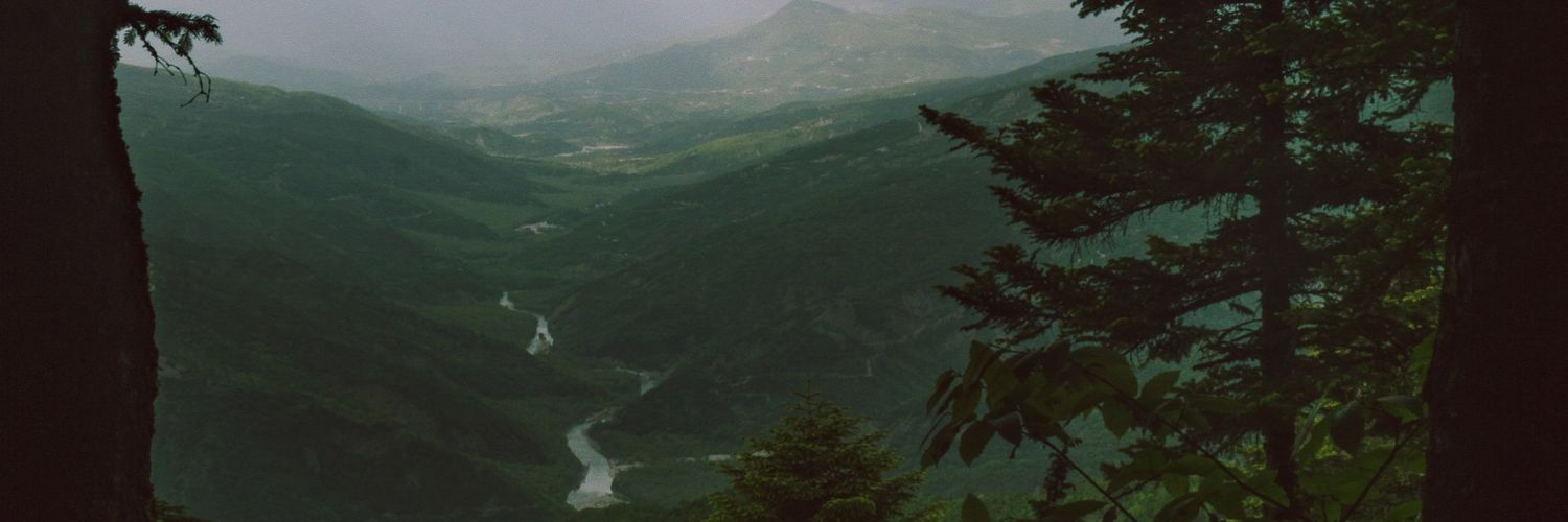 Leizo194's profile banner image