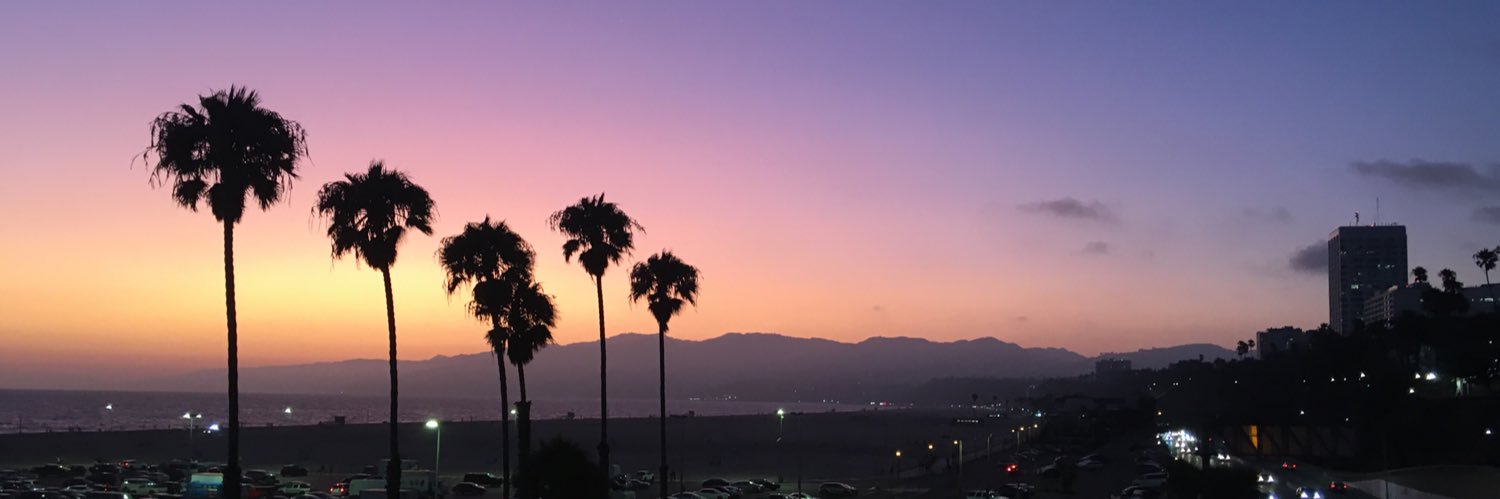 Connie Watson banner