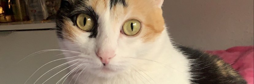 brenditag12's profile banner image