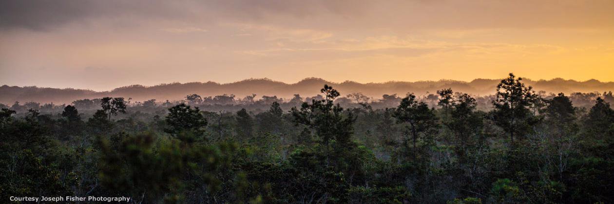 MonkeyBayBelize's profile banner image