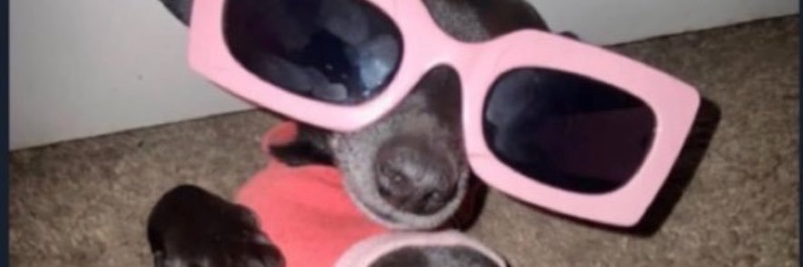 _leeorahh's profile banner image