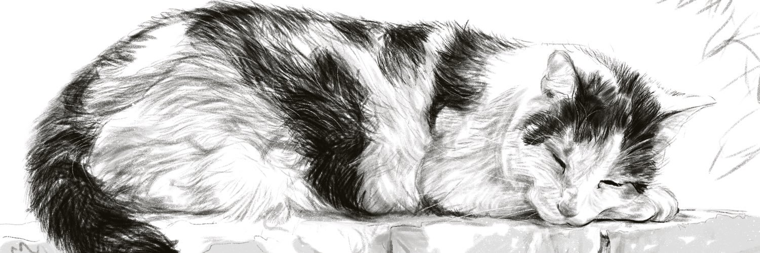 Helen Farhan banner