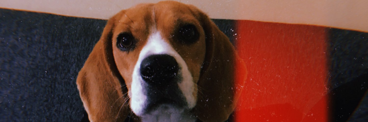 ericayalaok's profile banner image