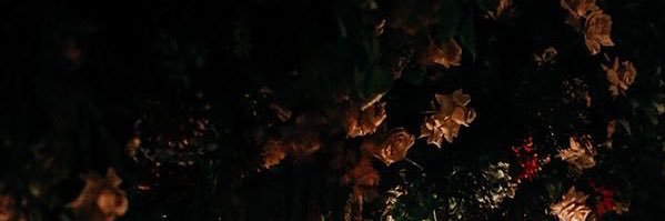 BindingTwoCrows's profile banner image