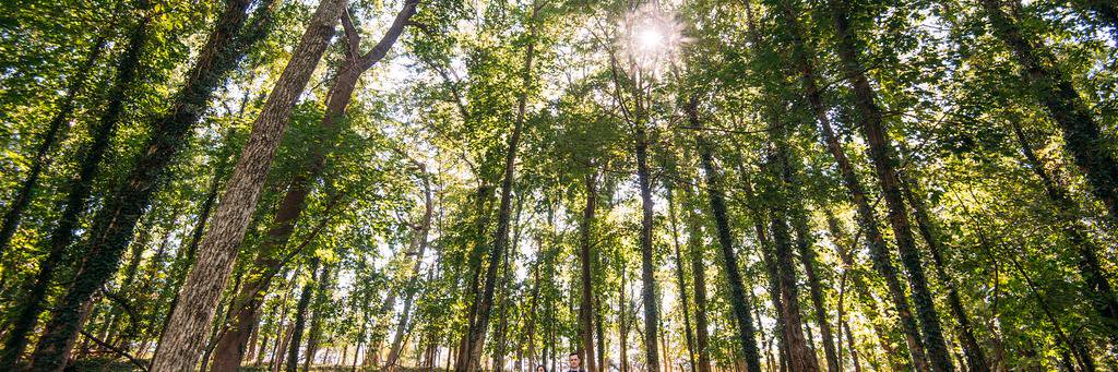 Laura Lightbody banner