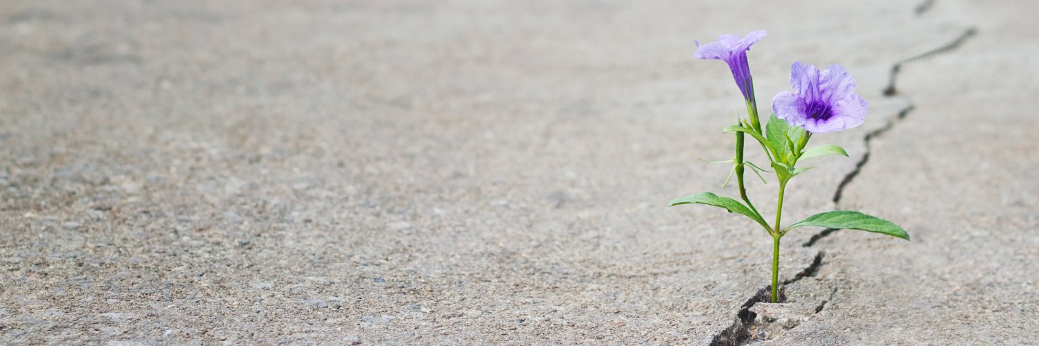 NAMIMissouri's profile banner image