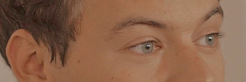 harrysshousee's profile banner image