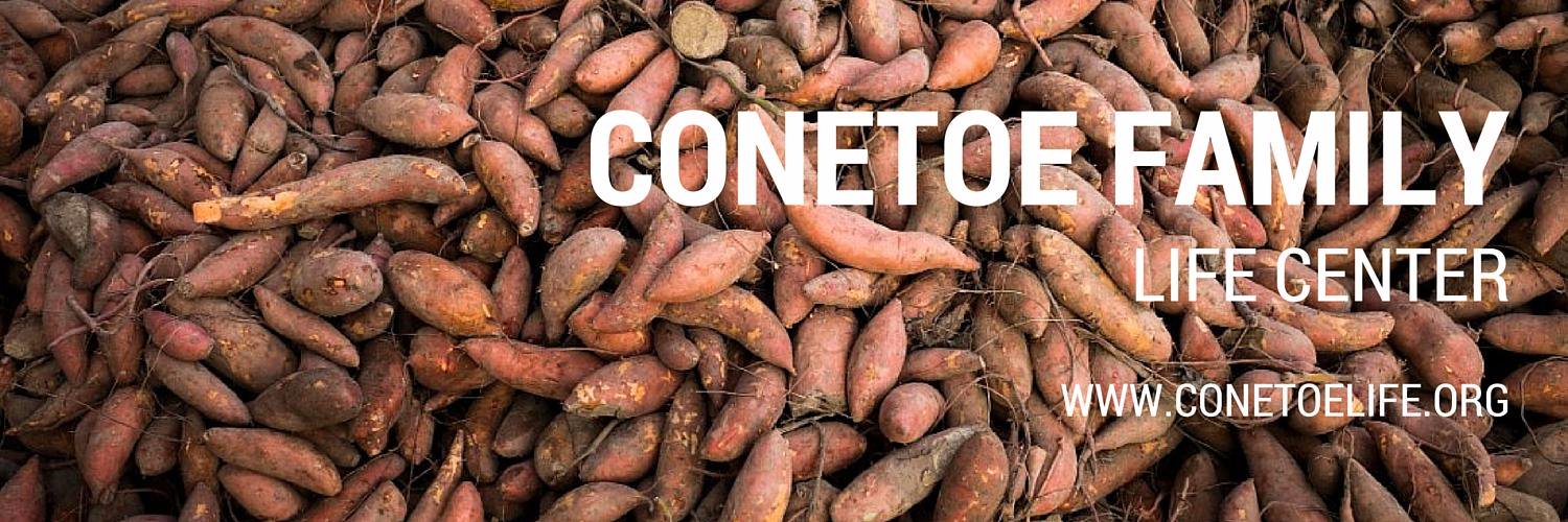 conetoefamily's profile banner image