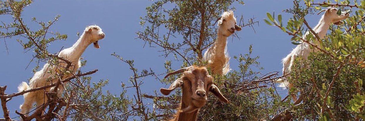 Lesliegee5's profile banner image