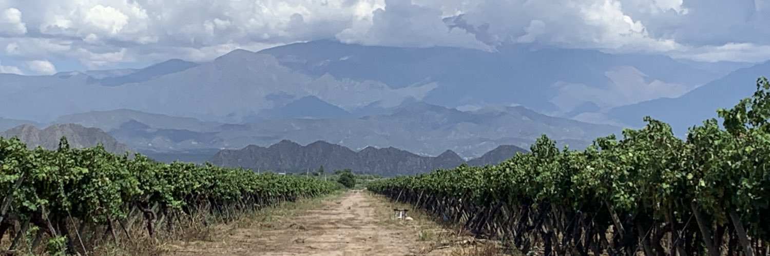 Luis Contigiani banner