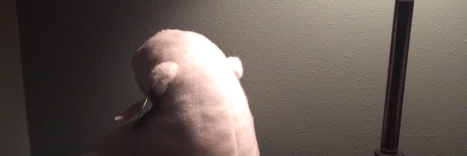 rickyflowers007's profile banner image