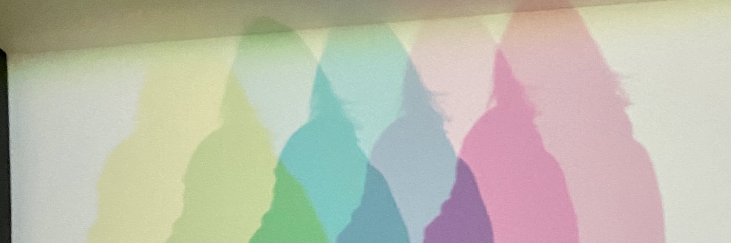 soduval's profile banner image
