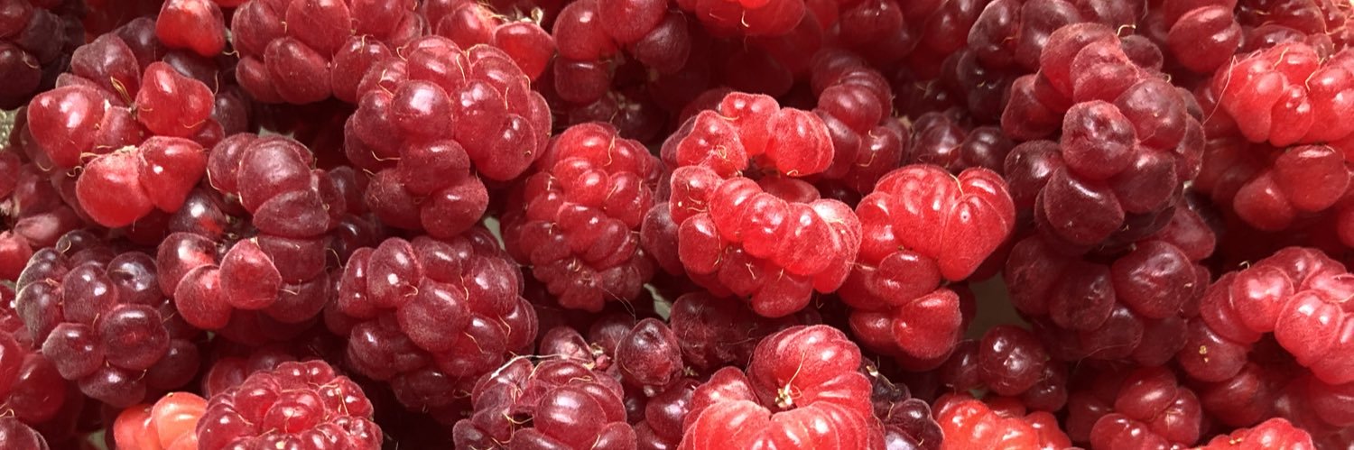 Delish_Tips's profile banner image