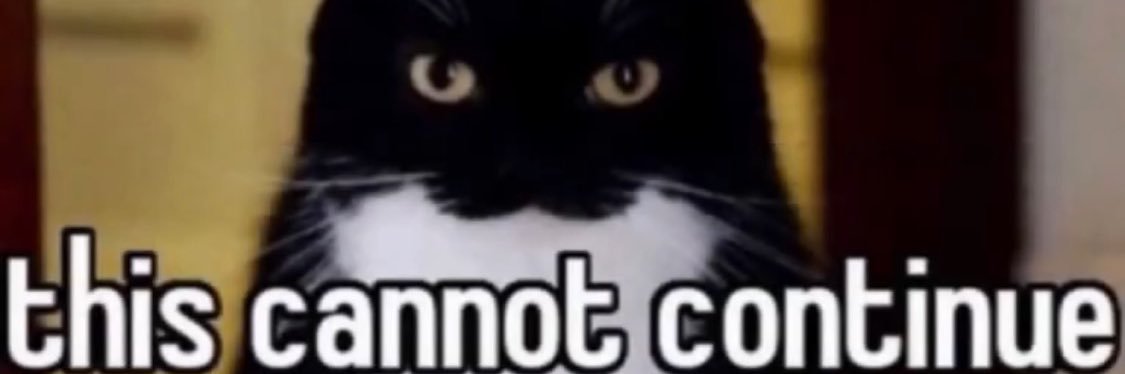 vacuumrolls's profile banner image