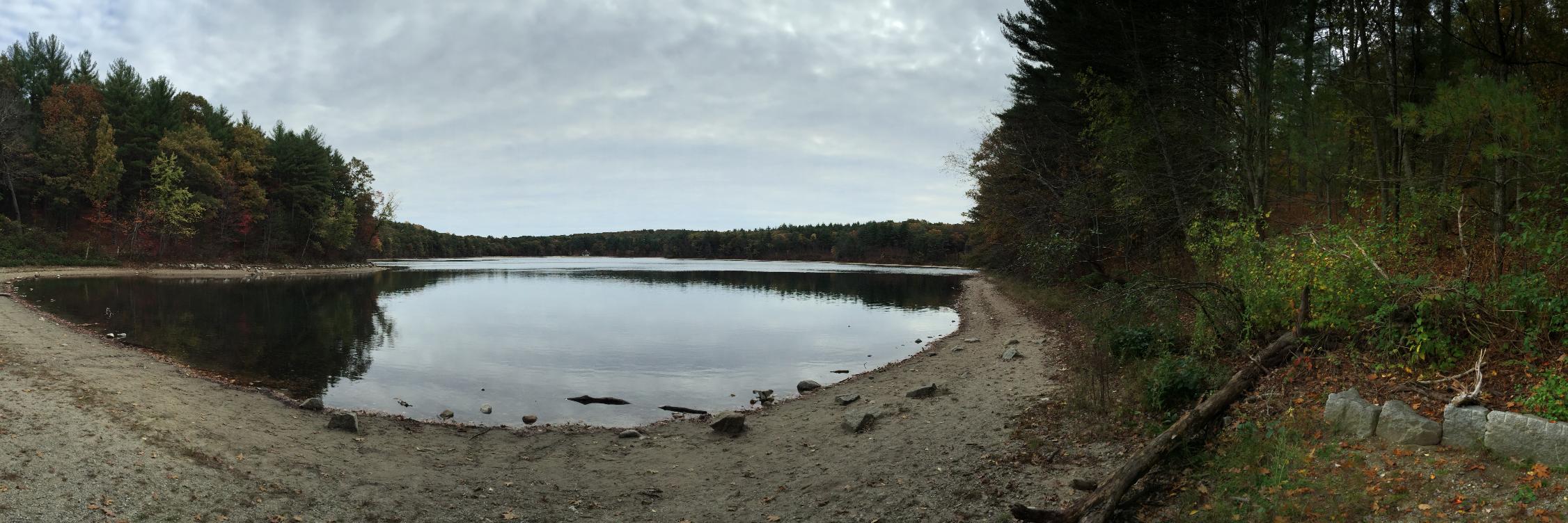 Jonathan Wickremasinghe-Kuhn banner