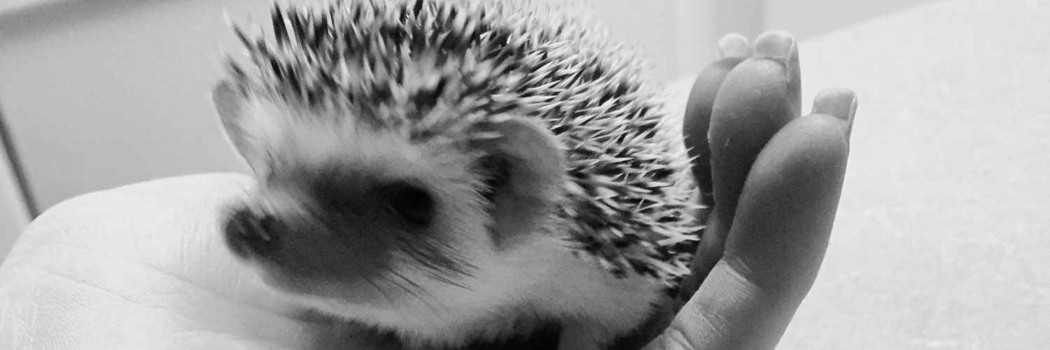 AshleyPavy's profile banner image
