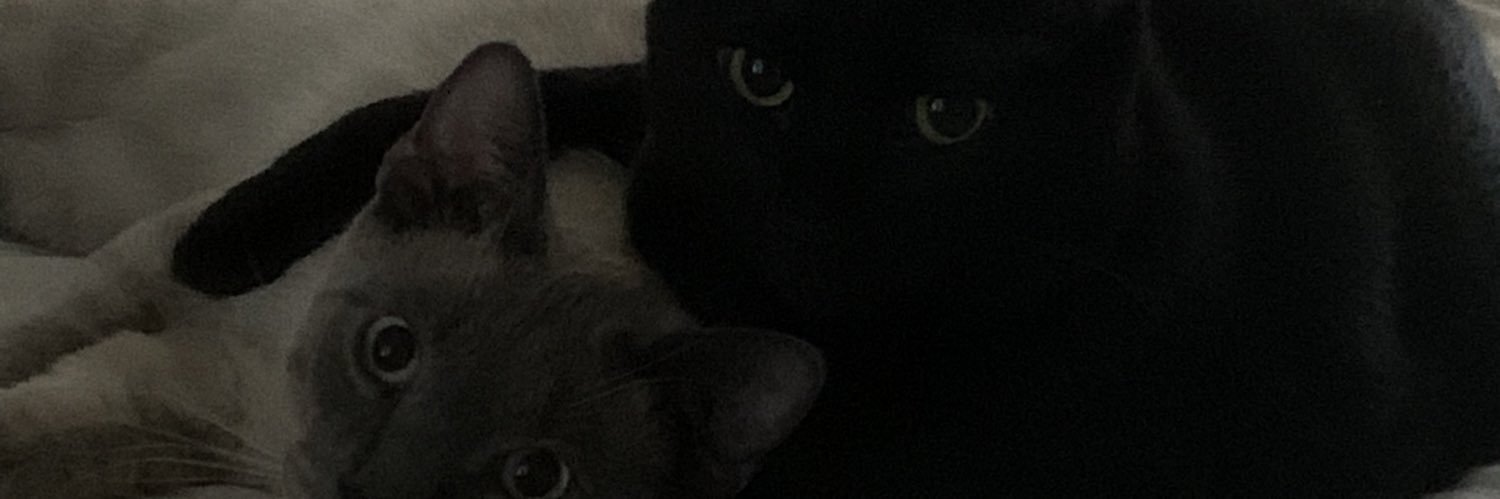 Kotahatesu's profile banner image